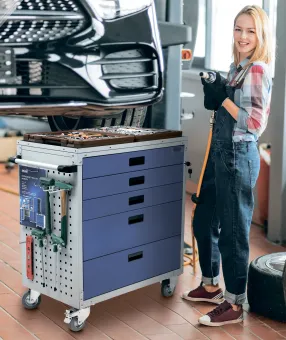 тележка инструментальная wds d-5.0