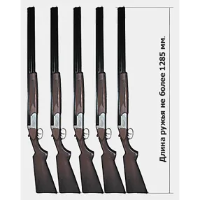 оружейный шкаф д10